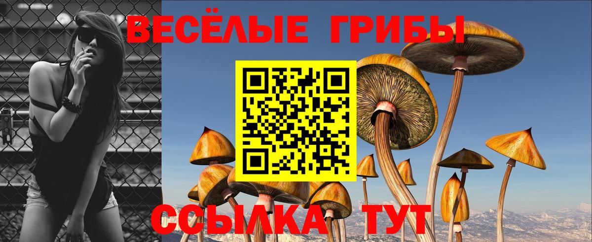 АМФЕТАМИН Кимры