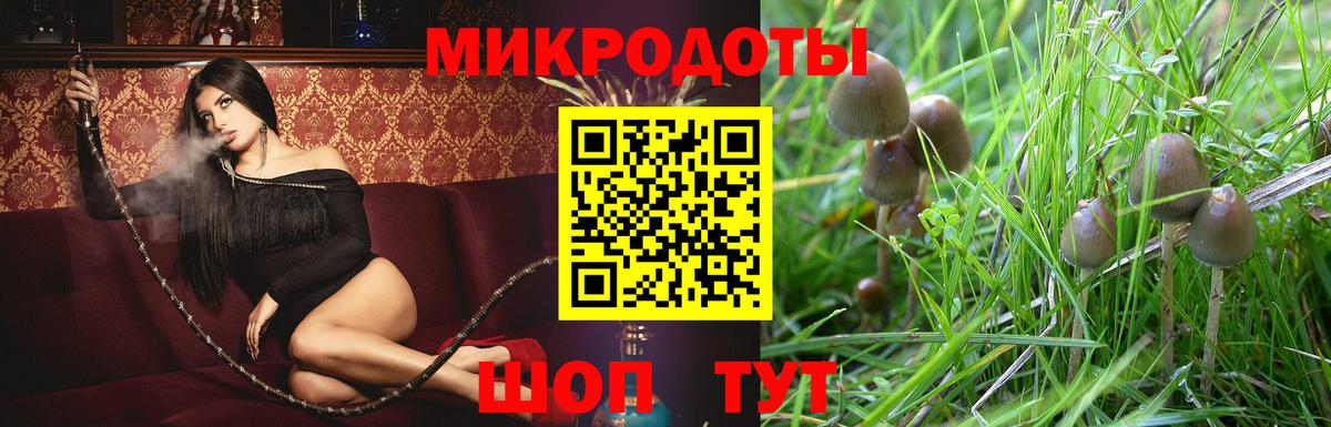 Кимры  Галлюциногенные грибы мухоморы  Вход с VPN  Галлюциногенные грибы ЛСД 